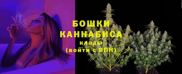 не бодяженный Гатчина