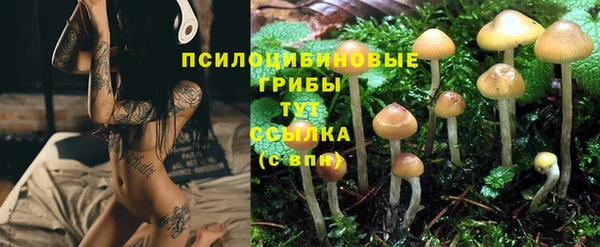 марки lsd Пересвет